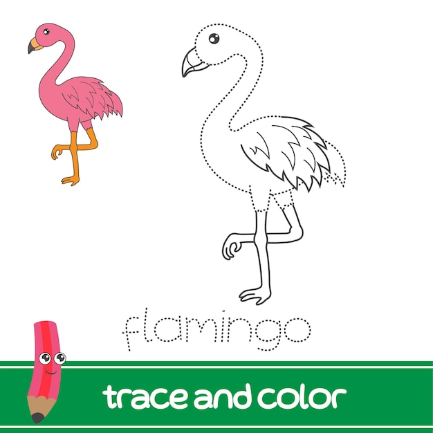 trazar y colorear flamenco