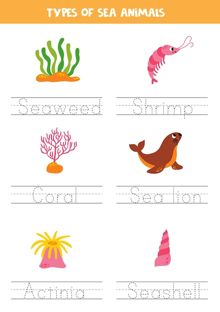 Trazar nombres de tipos de animales marinos Práctica de escritura