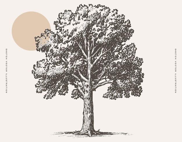 Vector tree with full moon a serene nighttime scene