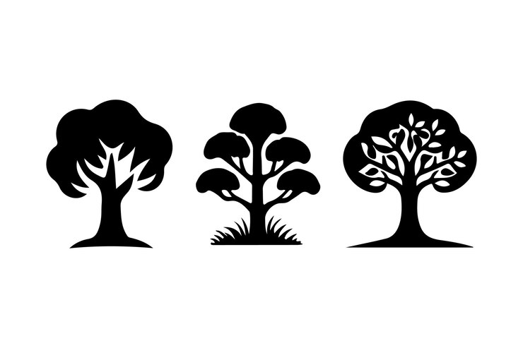 tres árboles se muestran en blanco y negro