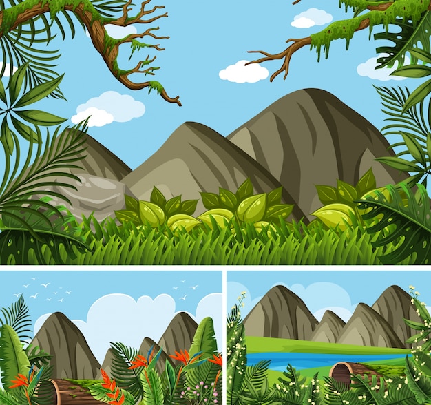 Vector tres escenas de fondo con montañas y bosque