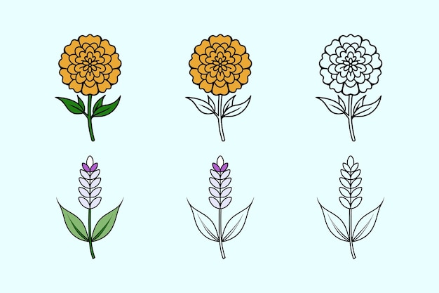 Tres estilos de lavanda y margarita en el paquete de flores