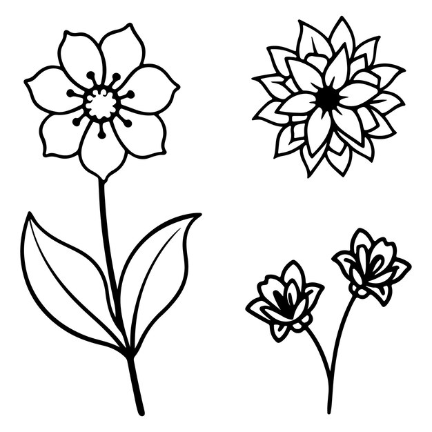 tres flores una de las cuales tiene el nombre "tulip" en ella