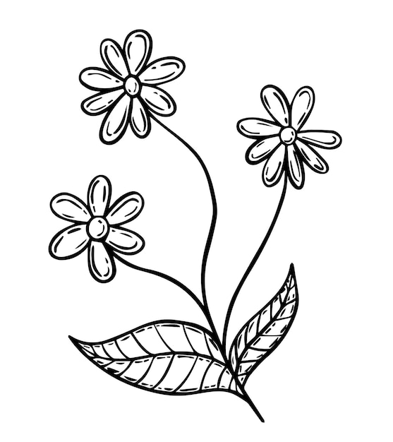 Tres flores con hojas doodle lineal