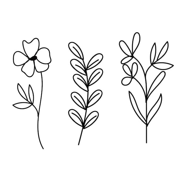 Tres flores sobre un fondo blanco