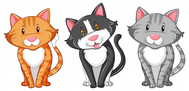 Vector tres gatitos sobre fondo blanco