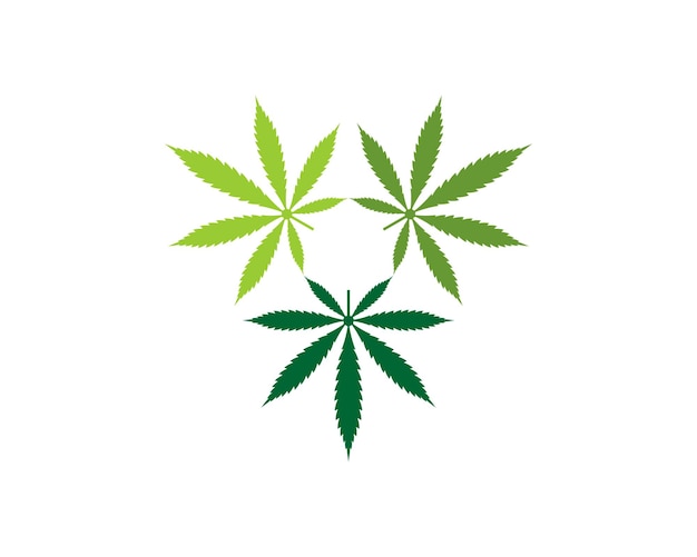 Tres hojas de cannabis con logo en forma de triángulo