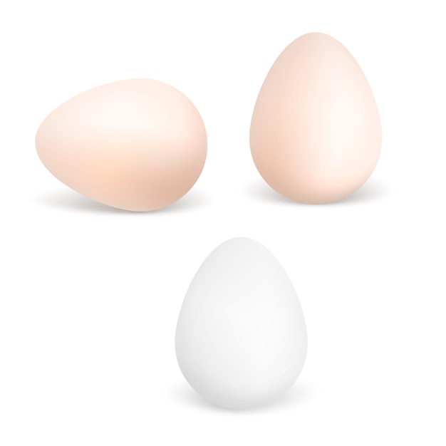 Tres huevos blancos y marrones realistas. Huevos de gallina aislados sobre fondo blanco.