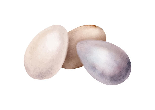 Vector tres huevos de pollo con concha símbolos de la celebración de pascua diseño para tarjeta acuarela pintura dibujada a mano ilustración aislada sobre un fondo blanco huevos pintados en colores pastel claros minimalistas