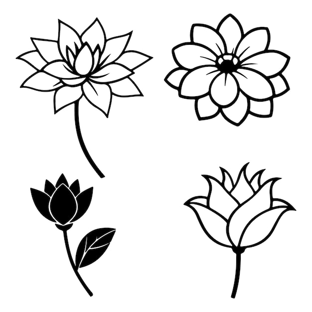tres imágenes en blanco y negro de flores y hojas