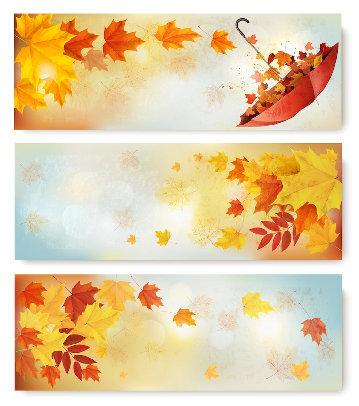 Vector tres pancartas abstractas de otoño con hojas de color y paraguas ilustración vectorial
