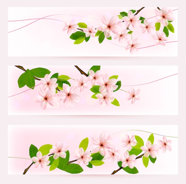 Tres pancartas de primavera con brunch de árbol floreciente con flores de primavera