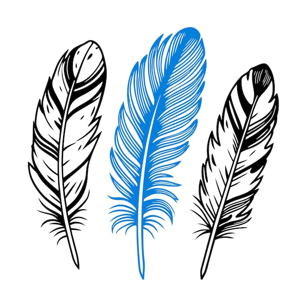 Tres plumas azul dibujo en blanco y negro