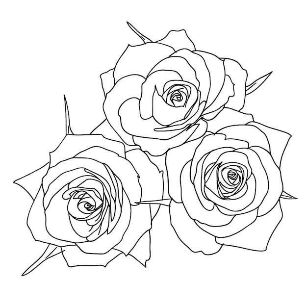 Tres rosas en estilo dibujado a mano