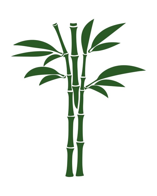 Tres tallos de bambú verdes con hojas aisladas en un fondo blanco Diseño de bosque tropical