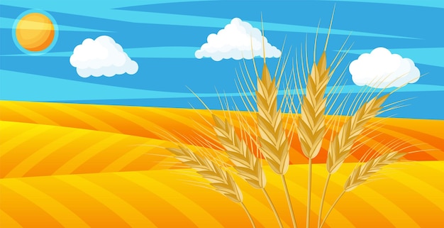 Vector trigo en los campos paisaje natural con cosecha de orejas tallos enteros orejas de trigo espikelets con semillas panadería cereales de pastelería racimo de avena con granos ilustración vectorial en estilo plano