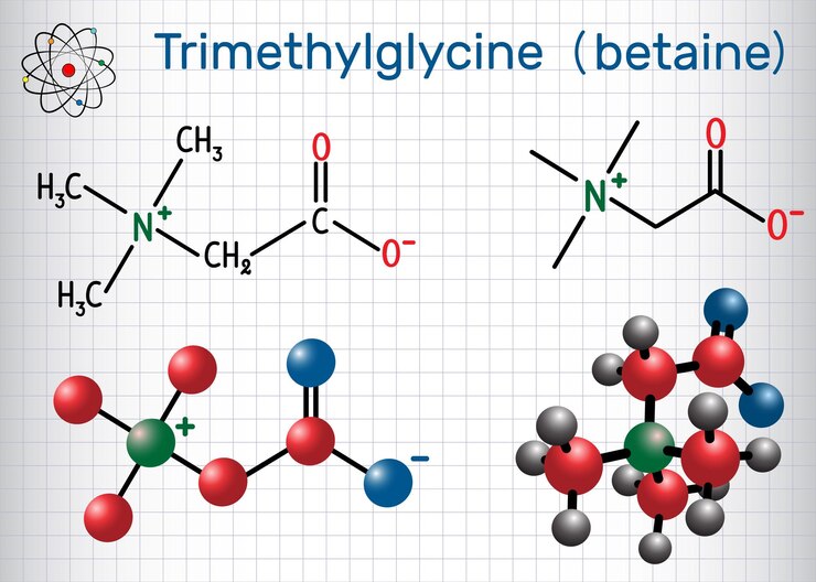Vector trimetilglicina tmg betaína glicina betaína fórmula química estructural y modelo de la molécula