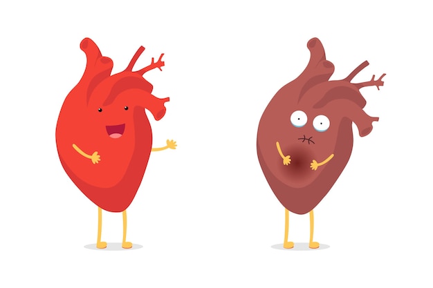 Triste enfermo insalubre vs sano fuerte feliz sonriente lindo personaje de corazón. órgano interno humano de dibujos animados divertidos anatómicos médicos. ilustración vectorial eps plana