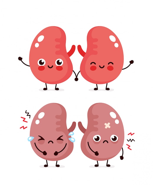Triste sufrimiento enfermo lindo y saludable feliz sonriente riñones personaje. Diseño de icono de ilustración de dibujos animados plana. Aislado en el fondo blanco. Grito poco saludable y concepto de personaje de riñones felices