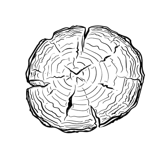 Tronco de árbol cortado con sierra dibujado a mano en estilo garabato. Dibujo lineal de un tocón redondo.