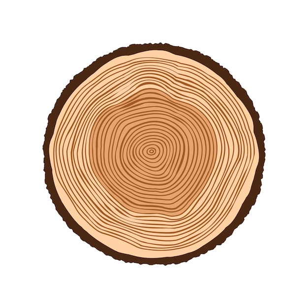 Tronco de árbol redondo cortado en rodajas de pino o roble aserrado Madera cortada en sierra Textura de madera marrón con anillos de árbol Boceto dibujado a mano Ilustración vectorial