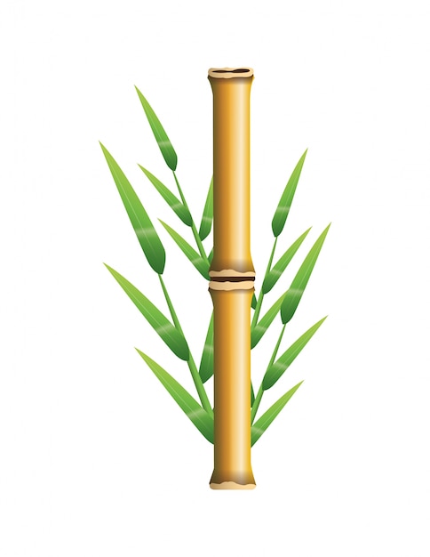 Tronco de bambú con hojas icono. Decoración de plantas de la naturaleza
