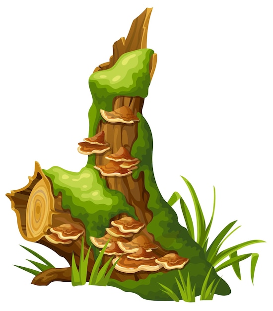 troncos, tocones, en, musgo, con, hongo, caricatura, árbol, en, liquen, en, pantano, bosque