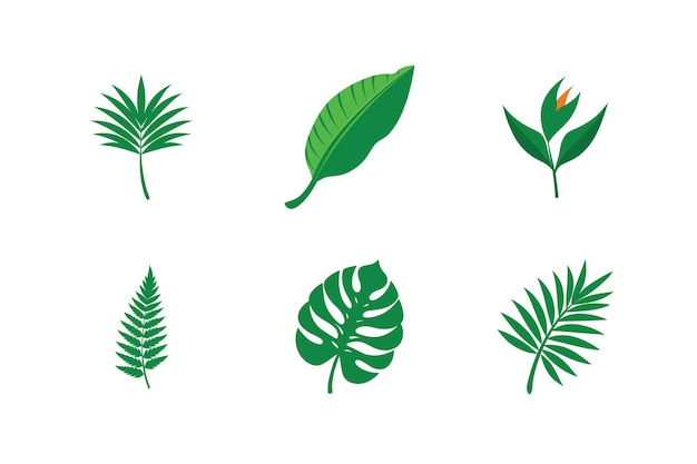 Tropical Leaf Vector Set Diseños vibrantes para la creatividad inspirada en la naturaleza