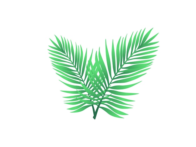 Tropical leaves palm leaves silhouettes isolated on white background Palm leaves floating