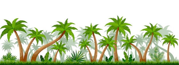 Tropical palmera verde fondo transparente plano denso verano follaje bosque paisaje horizontal subtropical papel pintado turismo empresa perfil protector de pantalla exótico viaje sitio aislado en blanco