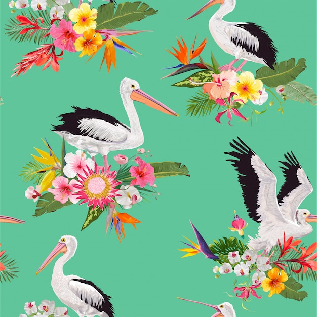 Tropical de patrones sin fisuras con pelícanos y flores