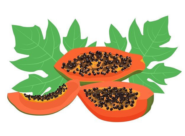 Trozos de papaya de diferentes formas y una hoja verde Exóticas frutas tropicales maduras