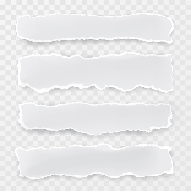 trozos de papel rasgados sobre fondo transparente