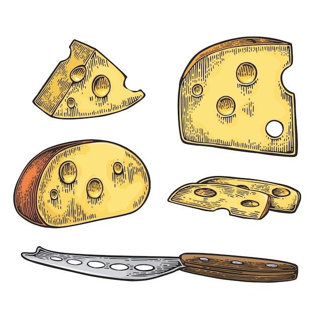 Trozos de Queso y cuchillo Media cabeza redonda y triangulo de queso