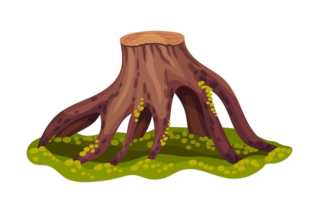 Vector tubo o tronco de árbol con raíces cubiertas de musgo verde como ilustración vectorial del elemento forestal