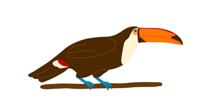 Vector tucán colorido sentado en la ilustración plana del vector de rama. pájaro exótico con pico grande aislado sobre fondo blanco. criatura emplumada tropical brillante con alas. magnífico habitante de la selva salvaje.