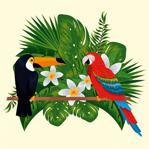 Vector tucán con loros animales con flores y hojas