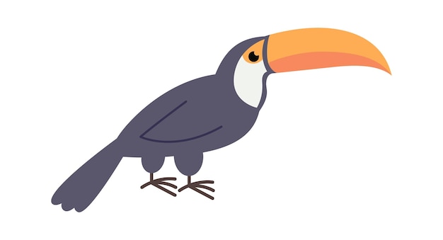 Tucán pájaro animal africano ilustración vectorial