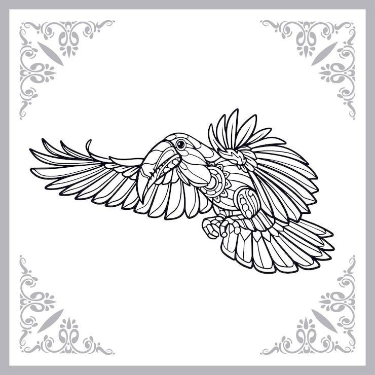 Vector tucán pájaro zentangle artes aislado sobre fondo blanco.