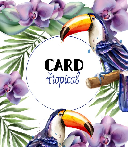 Tucán tropico tarjeta acuarela