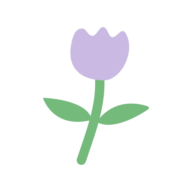 Tulipán gordo