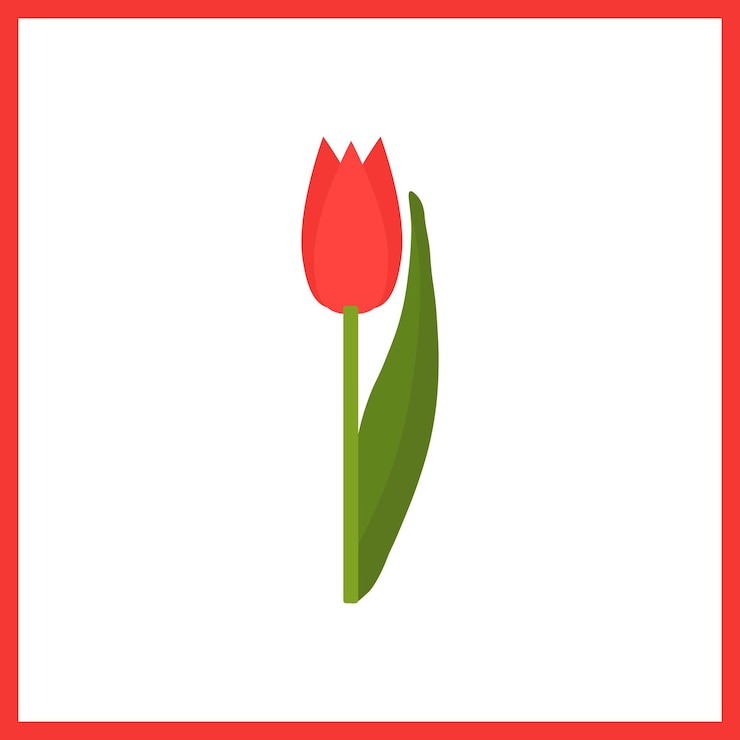 Vector tulipán