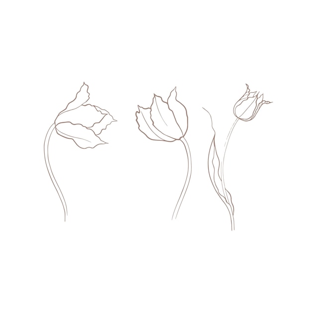 tulipanes dibujados en vector flor de primavera tarjeta del Día de las Madres