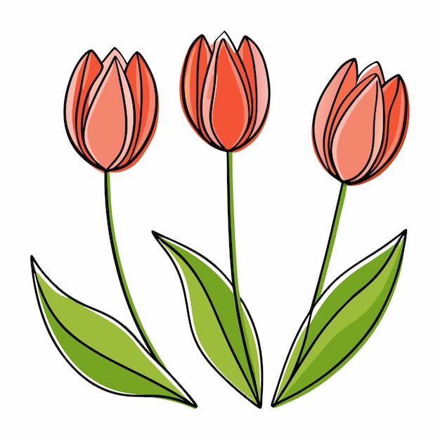 Tulipanes en el vector de estilo de arte de línea 15