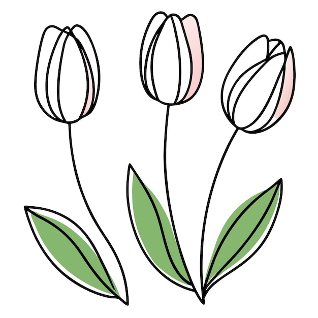 Tulipanes en el vector de estilo de arte de línea 49