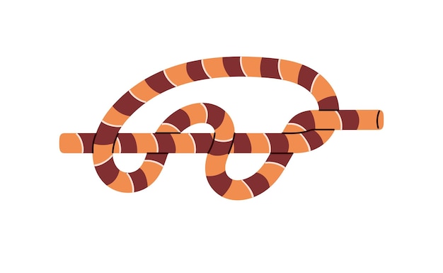 Tutorial de primer plano de nodo de cuerda Técnica de enlace marino para escalar Cinturón de cuerda de senderismo Enlace de cuerda bucle de cuerda Ilustración de vector aislado plano en fondo blanco