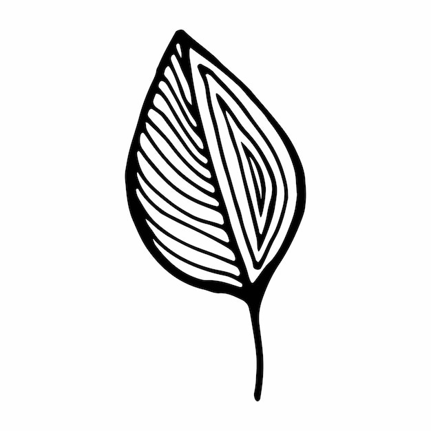 Twig solo vector ilustración .contour imagen hecha a mano