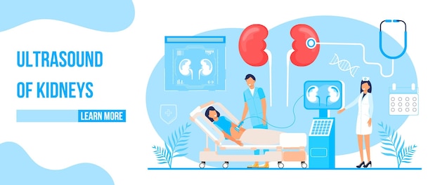 Ultrasonido de riñones concepto vector Pielonefritis enfermedades y cálculos renales ilustración Doctor investigación cistitis urolitiasis nefropatía insuficiencia renal