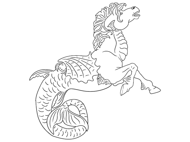 Un unicornio con cola y una cola que dice "caballito de mar"