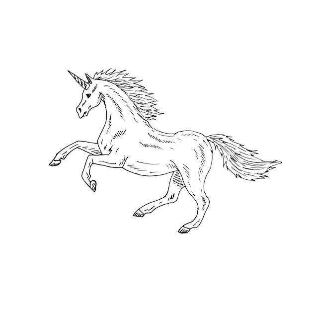 Unicornio dibujado a mano aislado sobre fondo blanco
